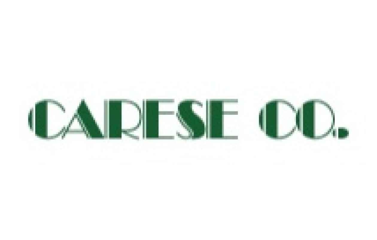 CARESEのロゴ