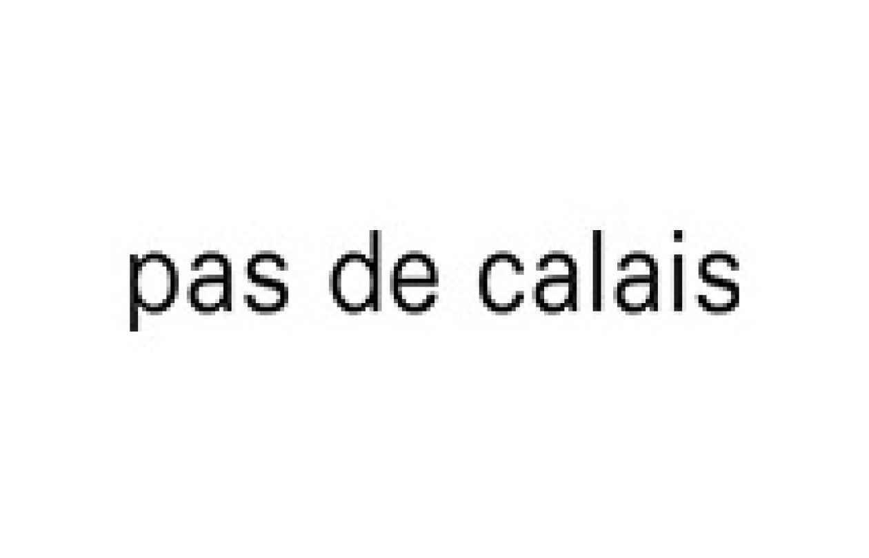 pas de calaisのロゴ